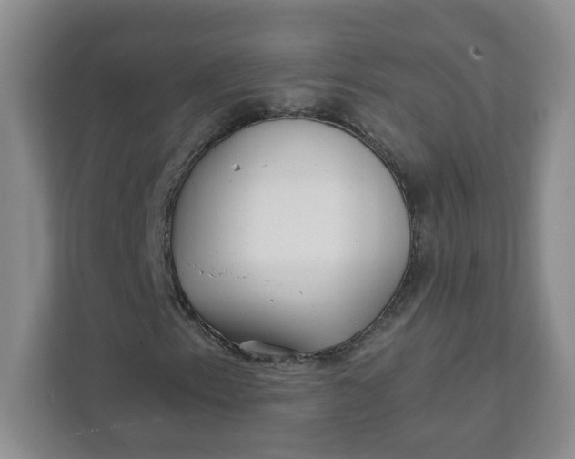 X0000111891153200908061328