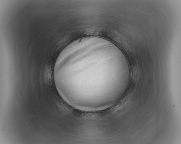 X0000111891154200908061328