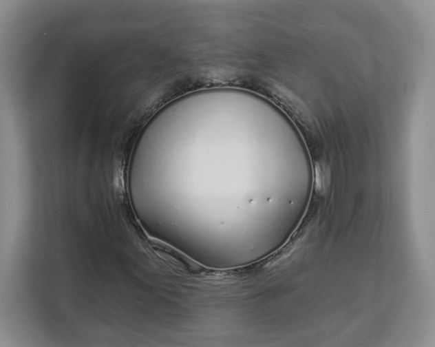 X0000111891155200908061328