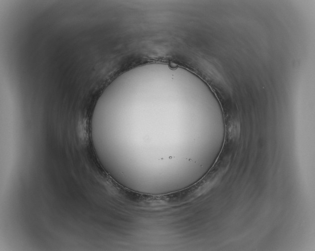 X0000111891156200908061328