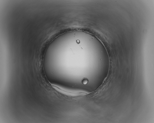 X0000111891157200908061328