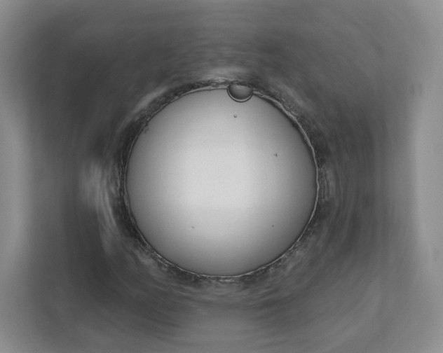 X0000111891158200908061328