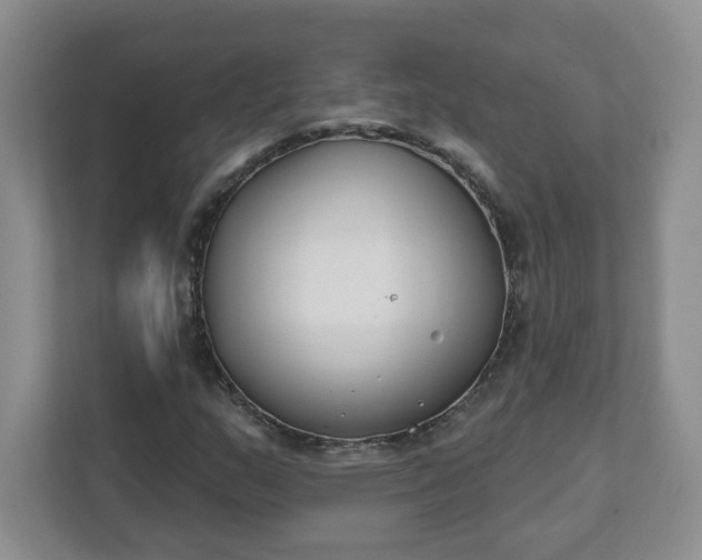 X0000111891159200908061328