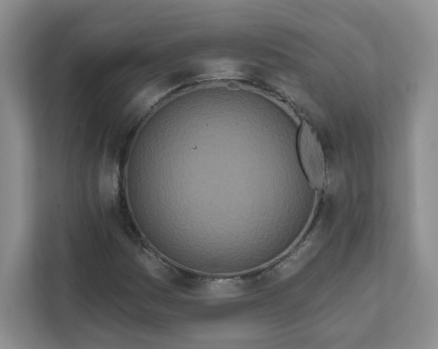 X0000111891161200908061328