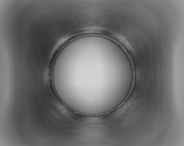 X0000111891164200908061328