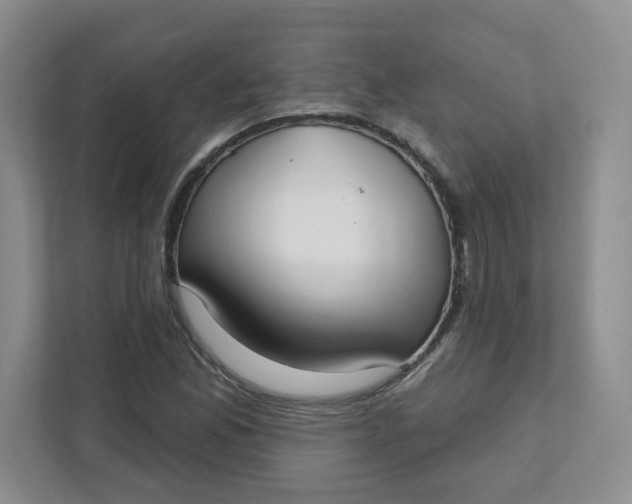 X0000111891165200908061328