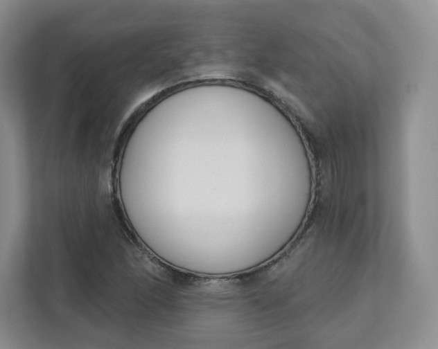 X0000111891166200908061328