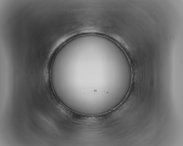 X0000111891167200908061328