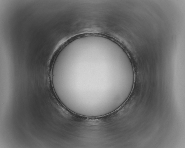 X0000111891168200908061328