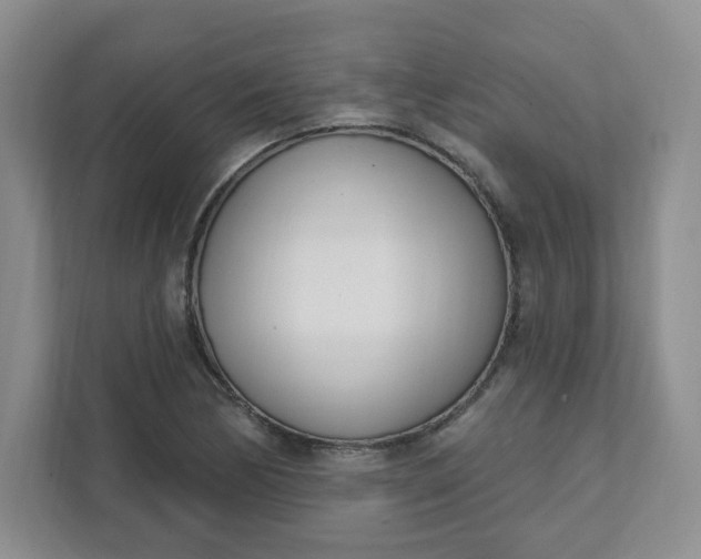 X0000111891170200908061328