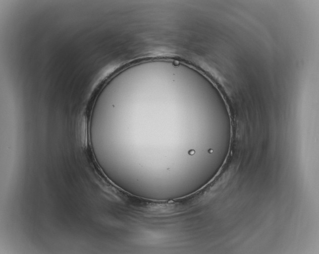 X0000111891171200908061328