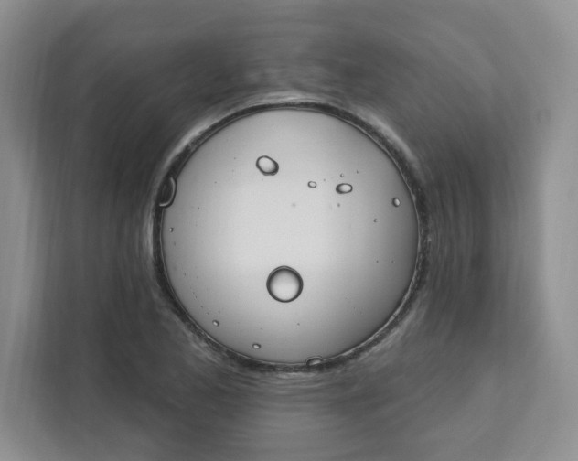 X0000111891173200908061328