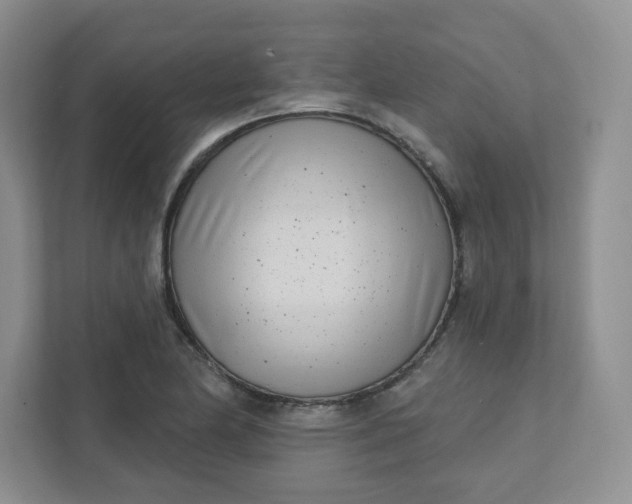 X0000111891174200908061328