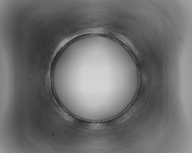 X0000111891176200908061328