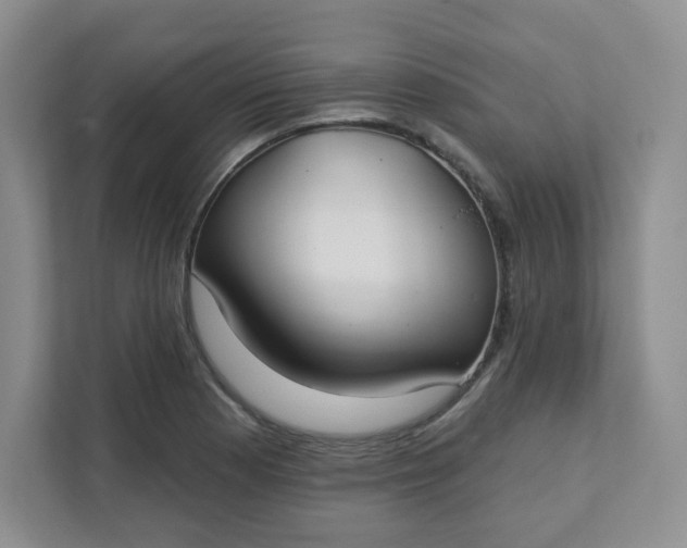 X0000111891177200908061328