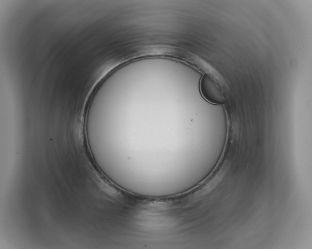 X0000111891178200908061328