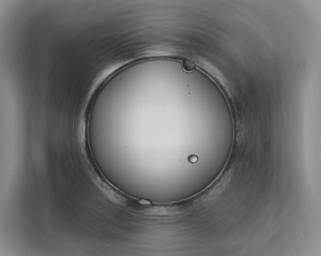 X0000111891179200908061328