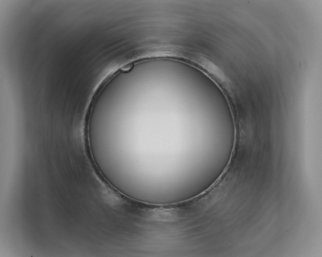 X0000111891181200908061328