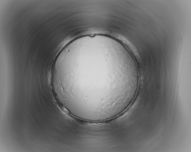 X0000111891185200908061328