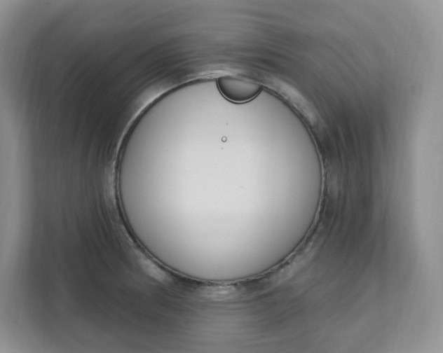 X0000111891186200908061328