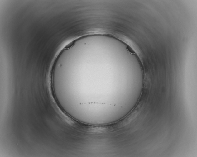 X0000111891187200908061328