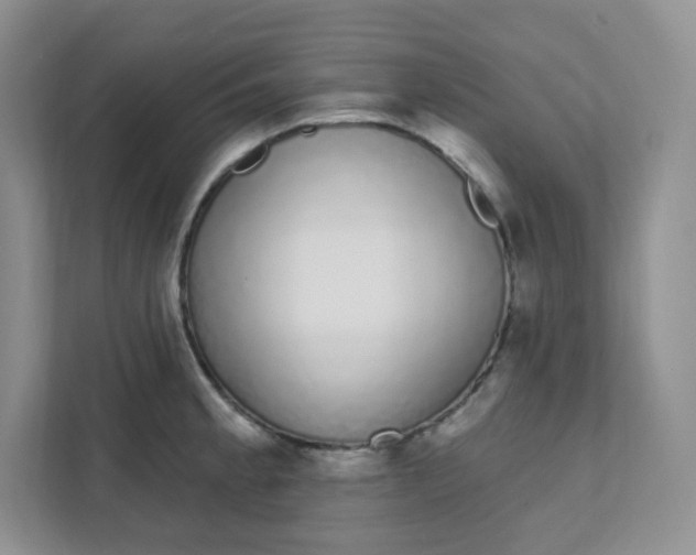 X0000111891189200908061328