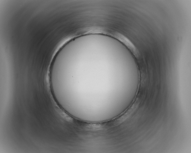 X0000111891190200908061328