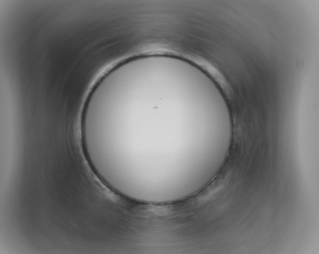 X0000111891191200908061328