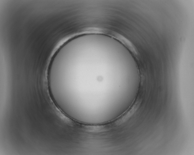 X0000111891192200908061328