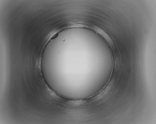 X0000111891193200908061328