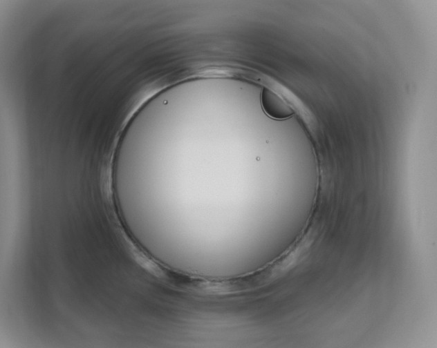 X0000111891194200908061328