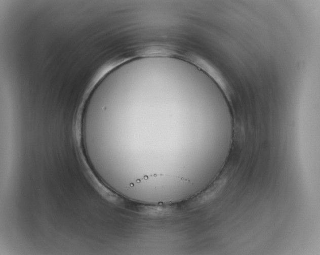 X0000111891195200908061328