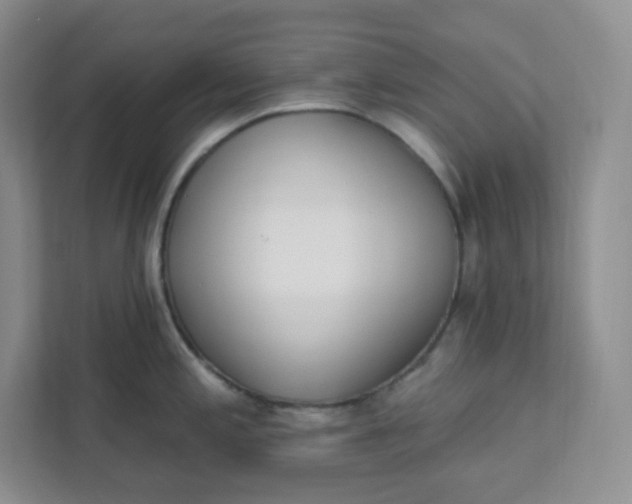 X0000111891197200908061328