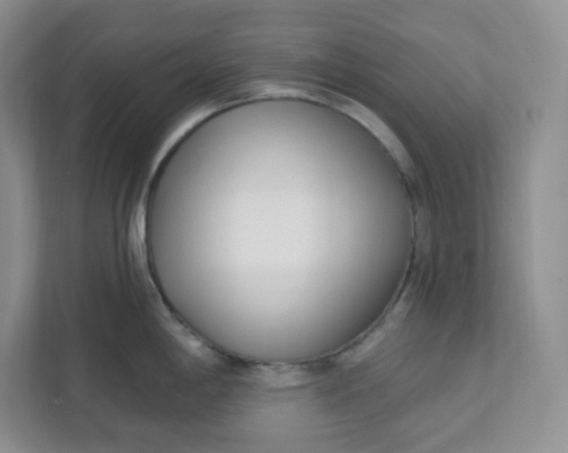 X0000111891198200908061328