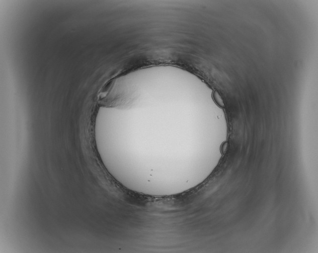 X0000111891201200908061327