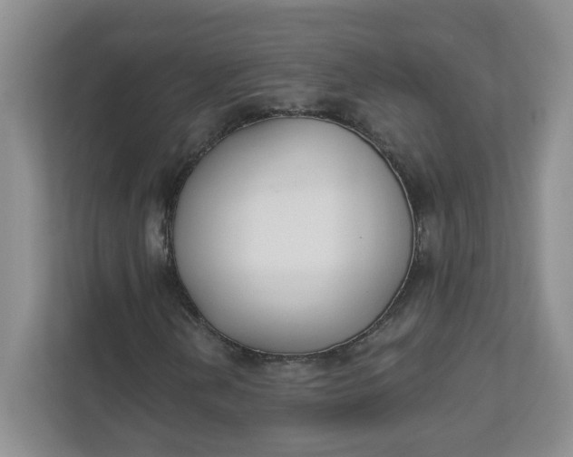 X0000111891202200908061327