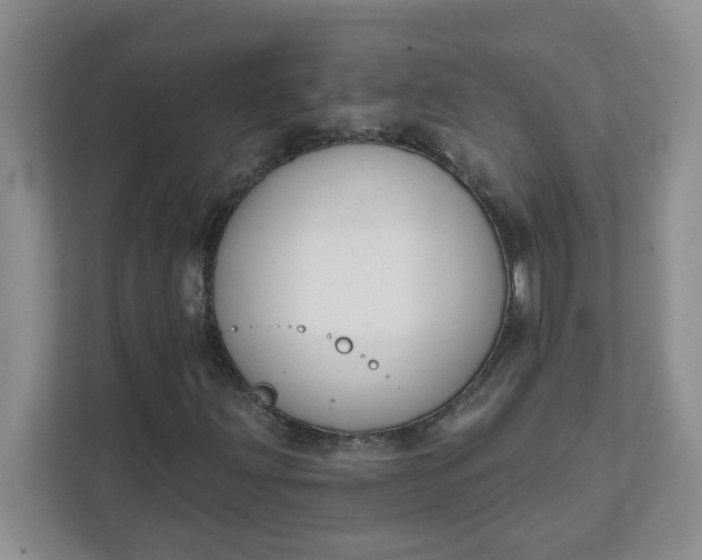 X0000111891203200908061327