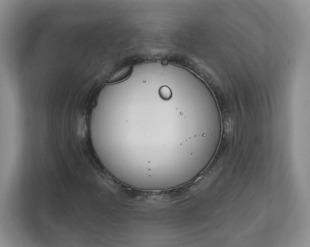 X0000111891204200908061327