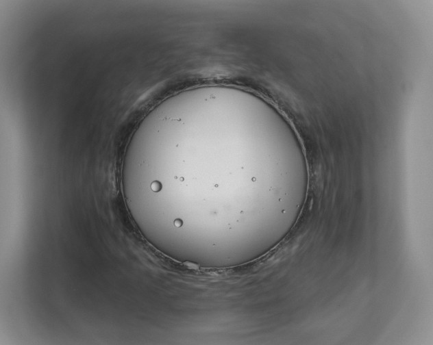 X0000111891205200908061327