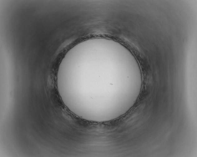 X0000111891207200908061327