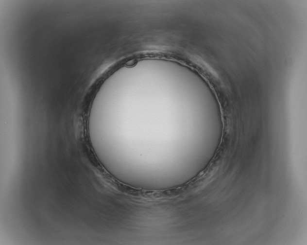 X0000111891208200908061327