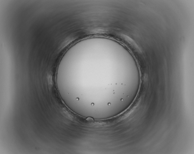 X0000111891209200908061327