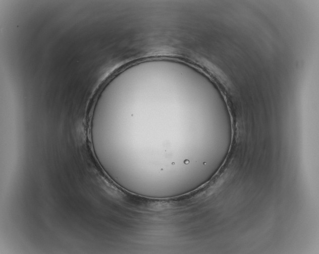 X0000111891212200908061327