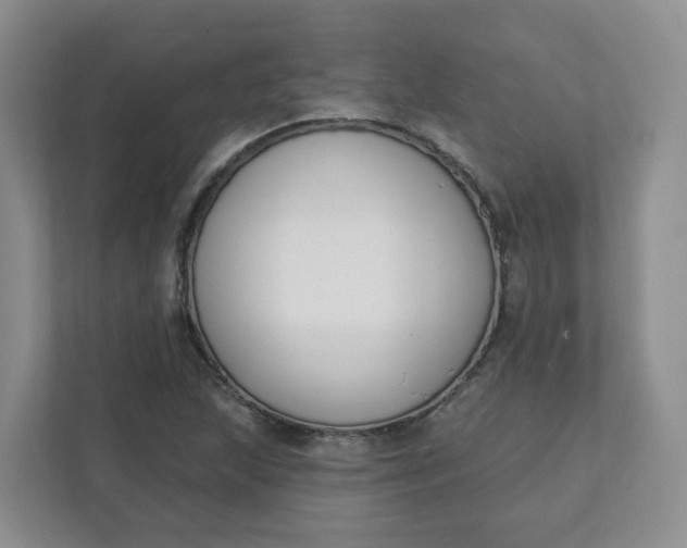 X0000111891215200908061327