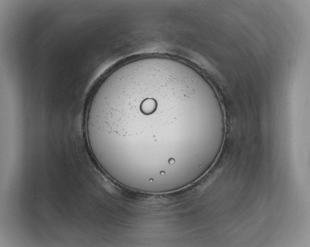 X0000111891216200908061327