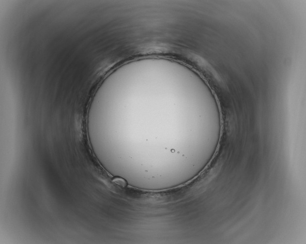 X0000111891217200908061327