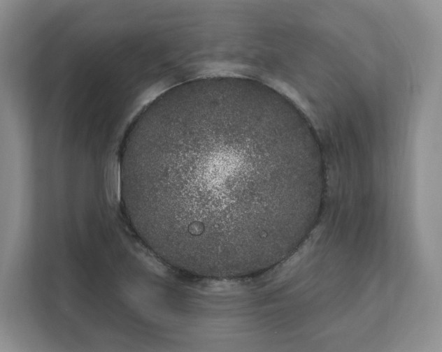 X0000111891219200908061327