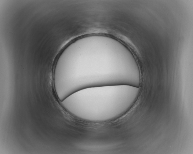 X0000111891220200908061327