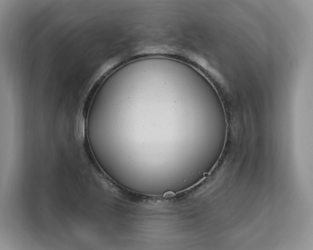 X0000111891221200908061327