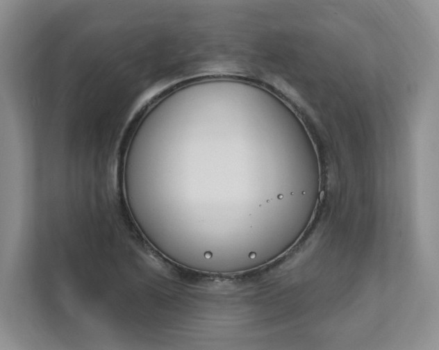 X0000111891222200908061327